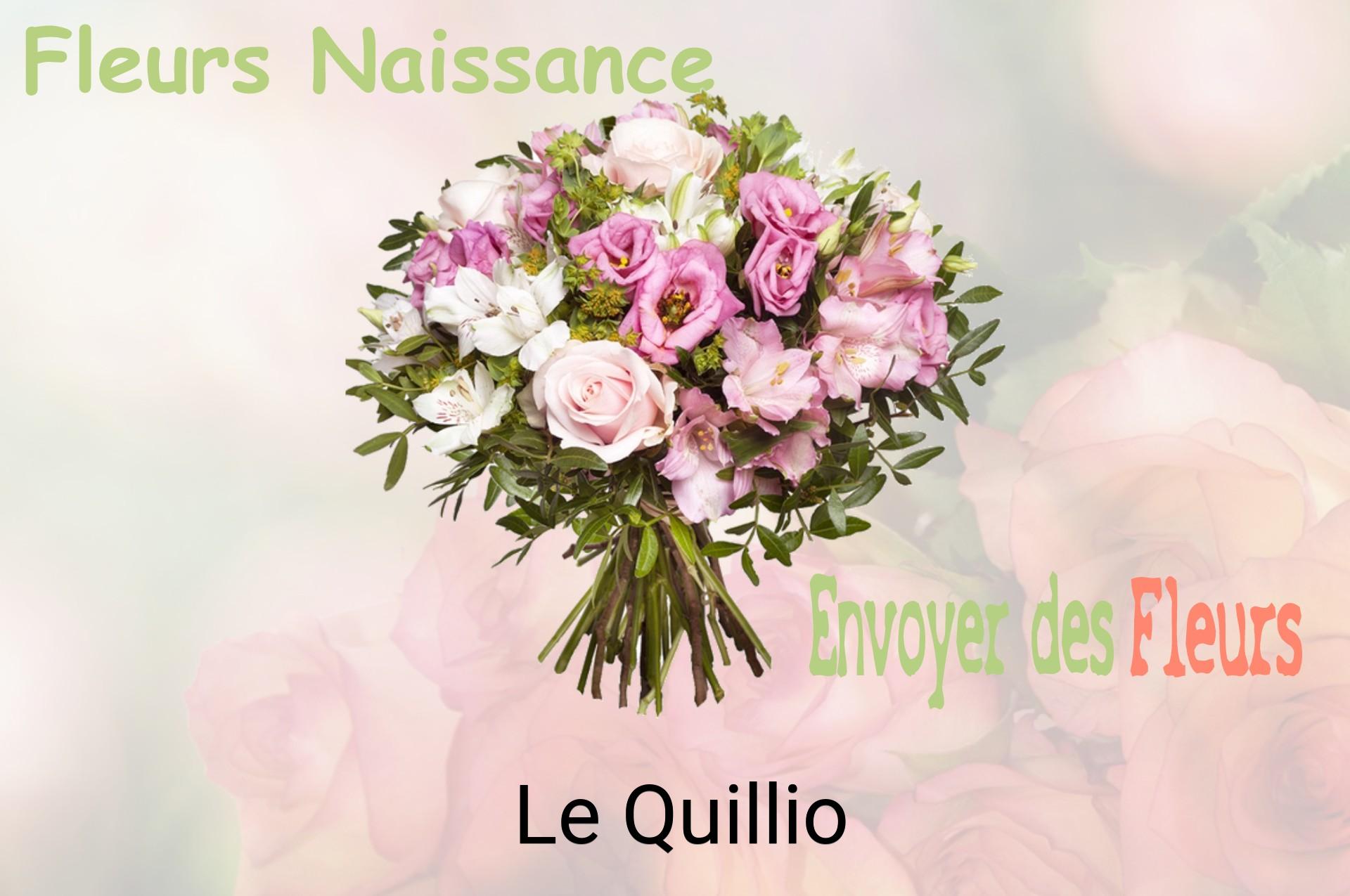Bouquet de fleurs de naissance livré à Le Quillio