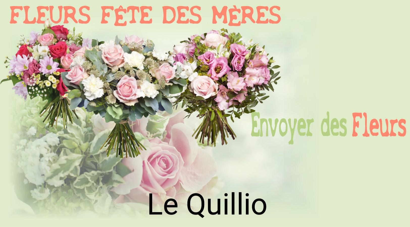 Bouquet de Fête des Mères livré à Le Quillio